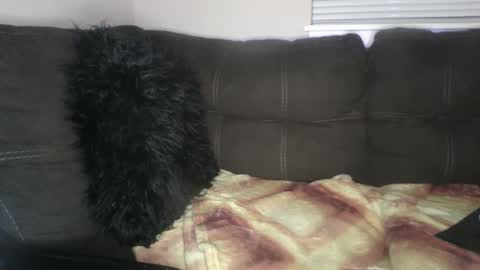 amiri_sweater online show from February 25, 2025, 6:36 am