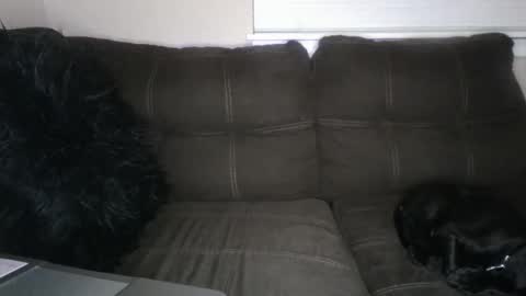 amiri_sweater online show from March 2, 2025, 11:39 am