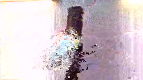 amiri_sweater online show from November 27, 2025, 7:10 am