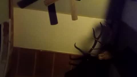 ammoman22 online show from March 9, 2025, 5:55 am