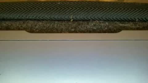 Snapshot of amormio69 chatting on February 11, 2026, 10:59 pm 23cm4you online show from February 11, 2026, 10:59 pm