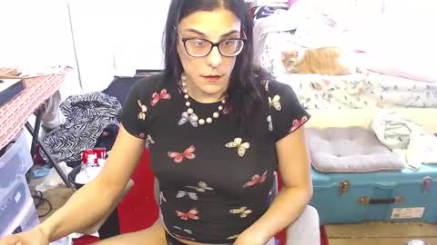 Snapshot of amyattack chatting on February 12, 2025, 5:16 pm Trashely Gimpson online show from February 12, 2025, 5:16 pm