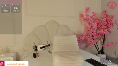 Amykord online show from November 2, 2025, 11:34 am