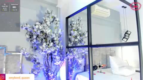 Amykord online show from February 19, 2026, 11:39 am