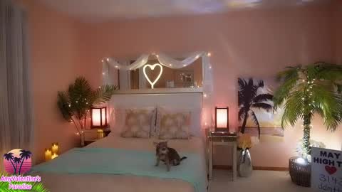  AmyValentine  online show from May 20, 2026, 6:08 am