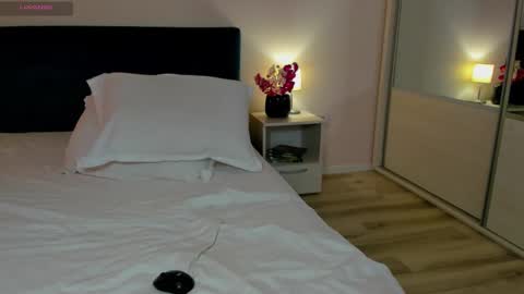 Snapshot of ana_crystal chatting on January 10, 2025, 9:02 am ANA online show from January 10, 2025, 9:02 am