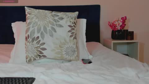 Snapshot of ana_crystal chatting on January 27, 2025, 12:05 pm ANA online show from January 27, 2025, 12:05 pm