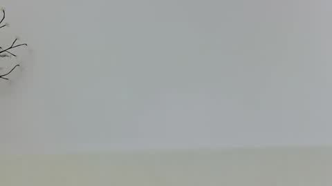 Snapshot of anaid_blaze2 chatting on November 10, 2025, 1:54 pm anaid_blaze2 online show from November 10, 2025, 1:54 pm