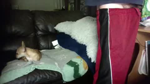 anal_king666 online show from January 12, 2026, 1:33 am