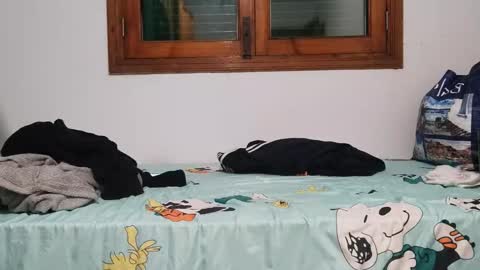 Snapshot of andreudickhard91 chatting on December 1, 2024, 8:31 pm Andreu online show from December 1, 2024, 8:31 pm