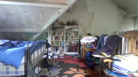 Andrew online show from June 23, 2026, 10:46 am