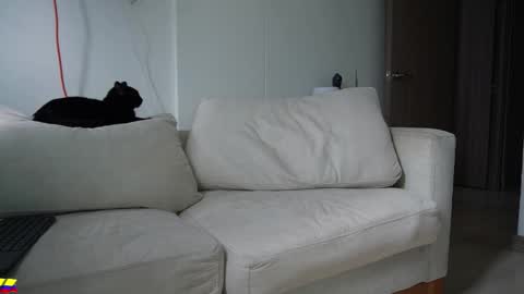 my onlyfans     online show from March 28, 2026, 7:35 pm