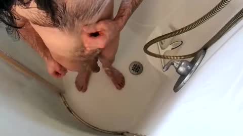 Snapshot of andybadass chatting on February 9, 2025, 7:09 pm andybadass online show from February 9, 2025, 7:09 pm