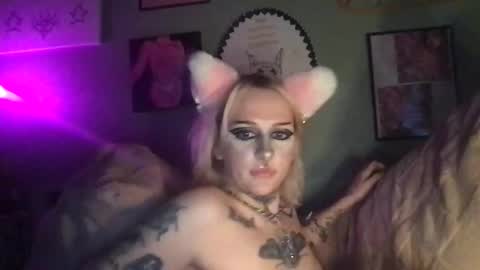 ang3lmorgu3 online show from December 13, 2025, 10:59 pm