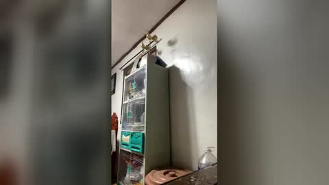 Snapshot of ange011 chatting on March 23, 2026, 6:06 am ange011 online show from March 23, 2026, 6:06 am