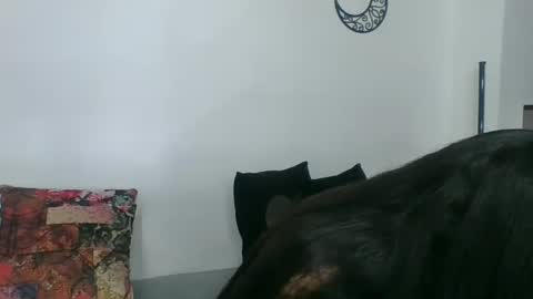 Snapshot of angela_mis chatting on March 11, 2025, 2:32 am Angela online show from March 11, 2025, 2:32 am