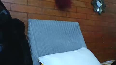 Snapshot of angela_mis chatting on December 19, 2025, 7:10 pm Angela online show from December 19, 2025, 7:10 pm