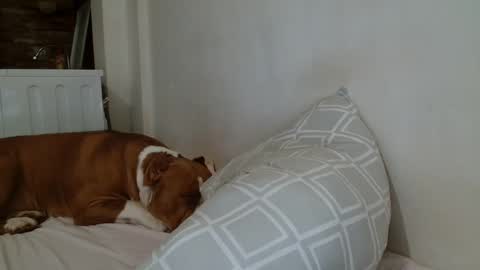 Angela online show from February 8, 2025, 9:04 pm