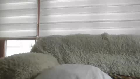 Snapshot of angelps1960 chatting on February 24, 2026, 10:02 am angelps1960 online show from February 24, 2026, 10:02 am