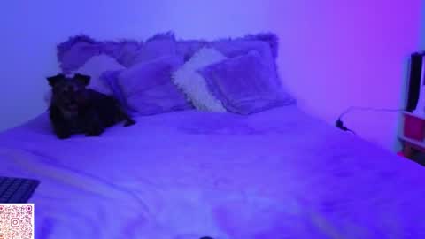 Snapshot of angie_bigboobs chatting on April 22, 2026, 11:28 pm Angie Gomez Onlyfans angie bigboobs FREE online show from April 22, 2026, 11:28 pm