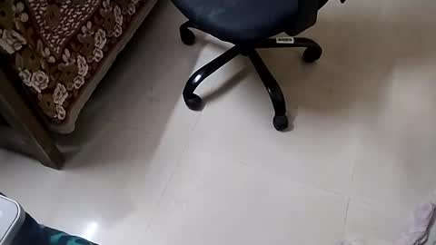 Snapshot of angryagent198 chatting on January 10, 2025, 11:39 pm Tutu22 online show from January 10, 2025, 11:39 pm