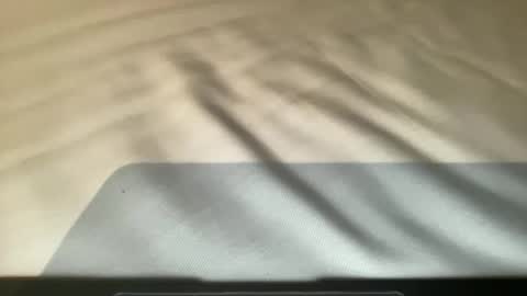 anned1991 online show from November 16, 2025, 10:15 pm