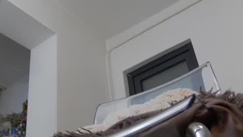 Snapshot of annyarose chatting on December 2, 2024, 8:41 am Anna online show from December 2, 2024, 8:41 am