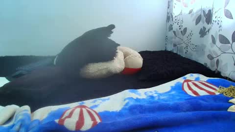 ANTONELLA WILLIAM  INDEPENDIENTE online show from February 5, 2025, 5:09 pm