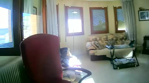 Antonio online show from January 13, 2025, 11:19 am