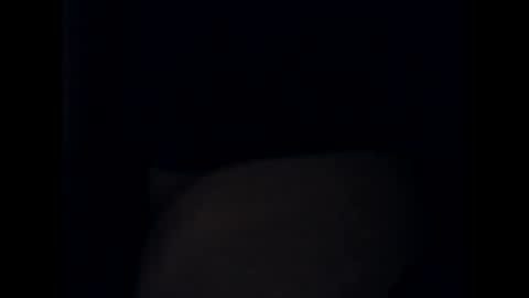 antxon12 online show from October 13, 2025, 10:54 pm