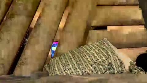 anubis_inpu online show from November 6, 2025, 7:53 am