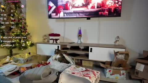 Snapshot of anyi_1 chatting on January 7, 2025, 3:24 am Anyi Orion and Pyxis online show from January 7, 2025, 3:24 am