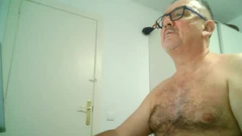furry bear online show from September 8, 2025, 10:53 pm