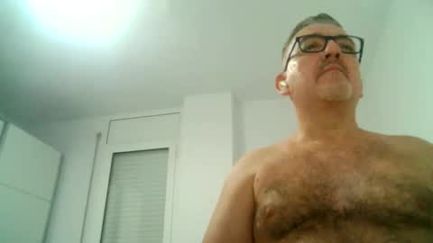 furry bear online show from September 16, 2025, 8:43 pm