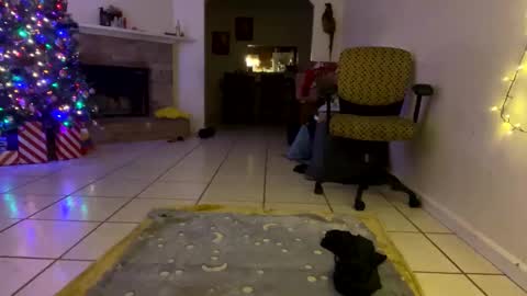 Snapshot of aprilanna chatting on December 25, 2024, 1:10 am AnnaApril420 online show from December 25, 2024, 1:10 am