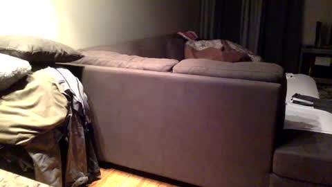 Snapshot of arabiandream21 chatting on September 16, 2025, 6:36 am Knowledgeiskeyy online show from September 16, 2025, 6:36 am