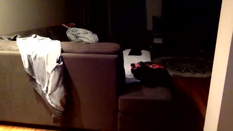 Snapshot of arabiandream21 chatting on September 23, 2025, 9:23 am Knowledgeiskeyy online show from September 23, 2025, 9:23 am