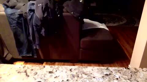 Knowledgeiskeyy online show from January 16, 2026, 10:19 am