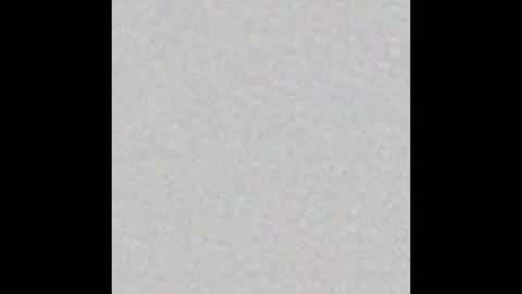 Arianna Collins online show from October 12, 2025, 3:05 am