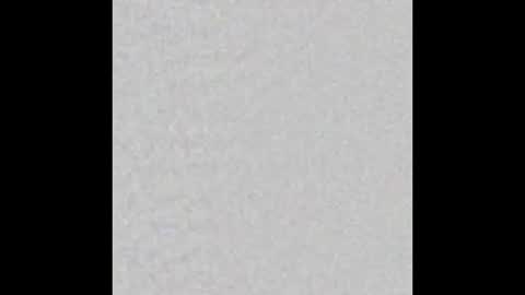 Arianna Collins online show from October 22, 2025, 12:05 pm