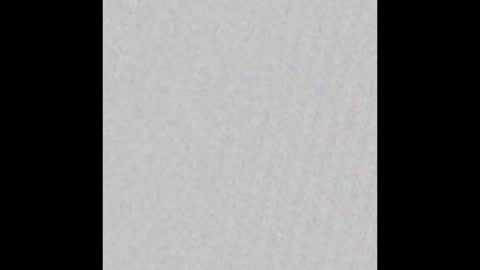 Arianna Collins online show from November 19, 2025, 11:32 am