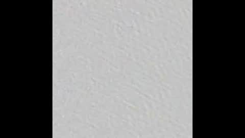 Arianna Collins online show from March 16, 2026, 11:25 am