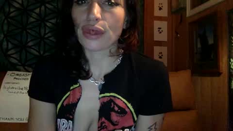 Snapshot of arielwyld chatting on January 11, 2025, 11:46 pm ariel  colin when hes here online show from January 11, 2025, 11:46 pm