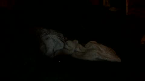 arley1966 online show from November 4, 2025, 2:43 am