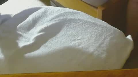 Arnie  online show from December 22, 2024, 8:47 pm