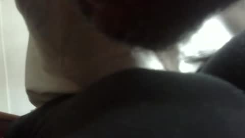 Arteblazze not daddy boy bitch or nigga online show from February 9, 2026, 5:06 pm