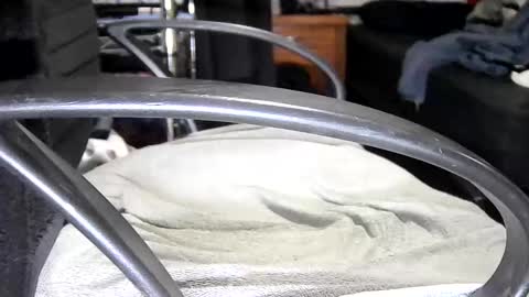 arucard_80 online show from September 16, 2025, 7:48 pm