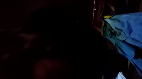 arvy95198 online show from October 12, 2025, 11:15 pm