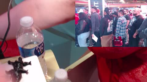 SweetAshCheeks online show from January 19, 2026, 4:05 am