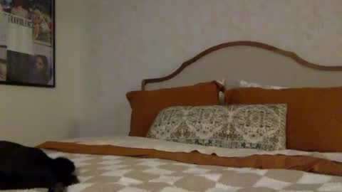 ashley online show from March 31, 2026, 1:51 am